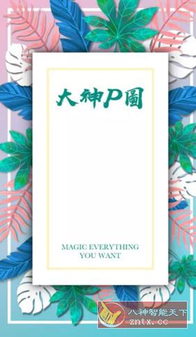 大神P图6.5.3.0-CN专业版-网亿资源平台