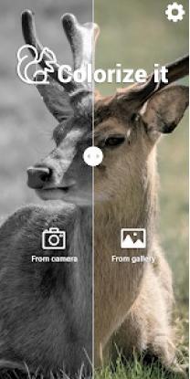 Colorize it 给他上色v2.0.10高级版-网亿资源平台