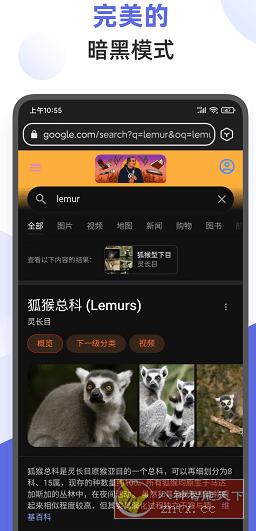 狐猴浏览器2.3.0.001 正式版-网亿资源平台