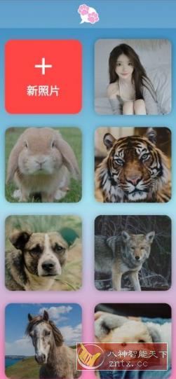 我的宠物会说话V2.3-网亿资源平台