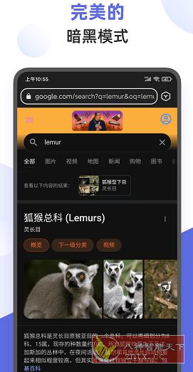 Lemur狐猴浏览器 v2.3.1.001-网亿资源平台