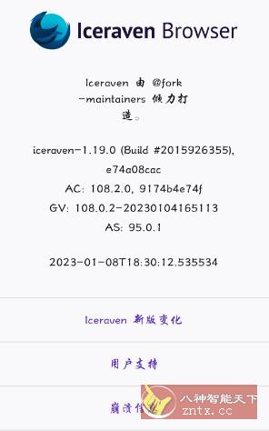 Iceraven 浏览器v1.19.0★大佬基于火狐内核开发-网亿资源平台