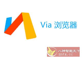 Via浏览器谷歌版v4.5.1.0-网亿资源平台