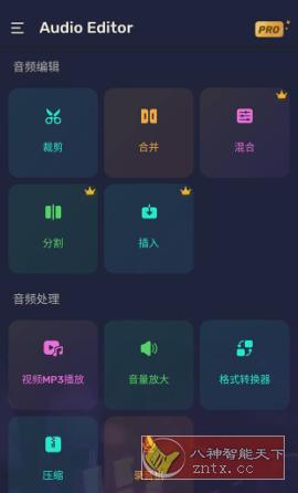 Audio Editor Pro Pro音频编辑器v1.01.47.0226专业版-网亿资源平台