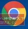 谷歌浏览器 Google Chrome v112.0.5615.48-网亿资源平台