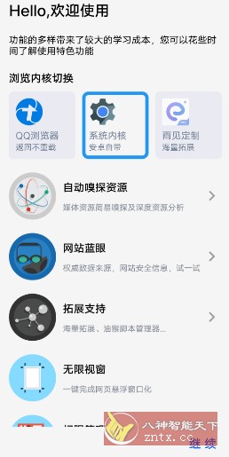 Rains 浏览器-网亿资源平台