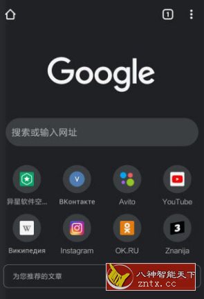 谷歌浏览器 Google Chrome v120.0.6099.230清爽版-网亿资源平台