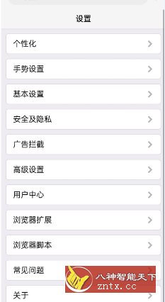 X浏览器谷歌版4.5.1(827)-网亿资源平台