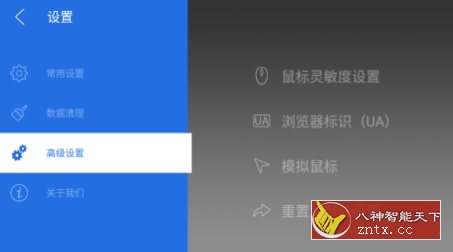 飞视浏览器TV版-网亿资源平台