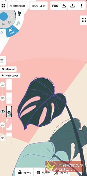 概念画板v2024.10.2 高级版-网亿资源平台