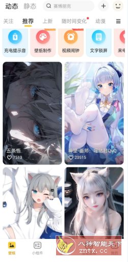 元气桌面壁纸 v3.50.4308高级版-网亿资源平台