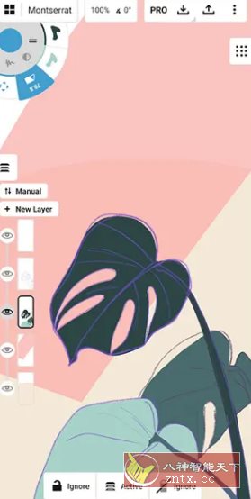 概念画板 v2024.12.5高级版-网亿资源平台