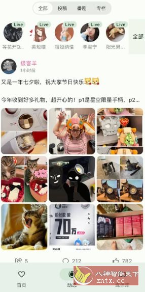 B站第三方客户端Pilipalax 1.1.0-网亿资源平台