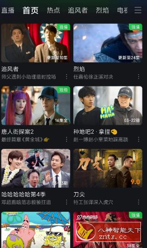 爱奇艺-网亿资源平台