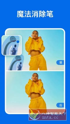 PicWish 佐糖v2.0.2高级版-网亿资源平台