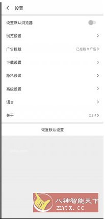 Pure浏览器 v2.8.9 Pro专业版-网亿资源平台