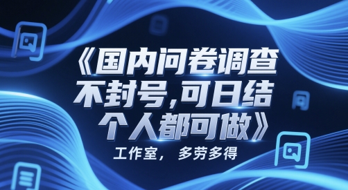 国内问卷调查，不封号，可日结，多劳多得，工作室，个人都可做-网亿资源平台