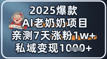 2025爆款 AI 老奶奶项目：亲测 7 天涨粉 1W+，私域变现 1k+-网亿资源平台
