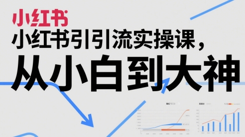 小红书引流实操课，从小白到大神-邪修侠 - 演示