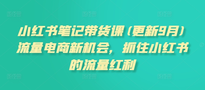 小红书笔记带货课(更新25年5月)流量电商新机会，抓住小红书的流量红利-邪修侠