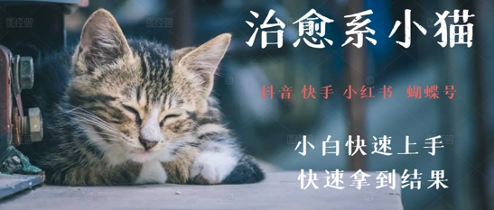 拆解，疯狂火爆！抖音，小红书，视频号小猫治愈的视频，轻松制作+快速拿到结果-网亿资源平台