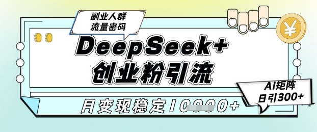 DeepSeek+创业粉精准引流，全新分享课4.0玩法，AI矩阵日引300+，多种变现方式，稳定月入1W-网亿资源平台
