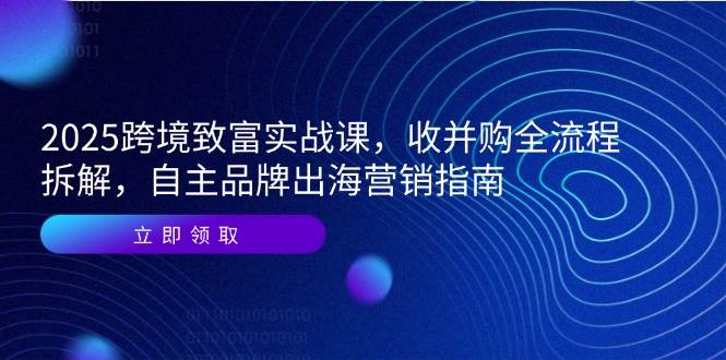 （14975期）2025跨境致富实战课，收并购全流程拆解，自主品牌出海营销指南-网亿资源平台