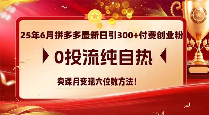 （14989期）25年6月拼多多最新日引300+付费创业粉，0投流纯自热 卖课月变现六位数方法-网亿资源平台