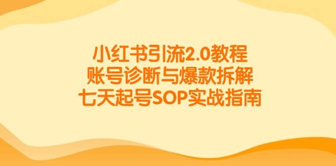 小红书引流2.0教程,账号诊断与爆款拆解,七天起号SOP实战指南-邪修侠 - 演示