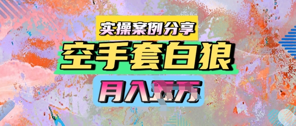 空手套白狼，月入过1W，实操案例分享-网亿资源平台