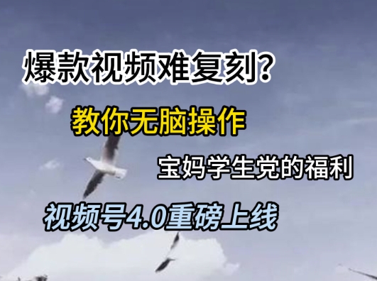 视频号4.0重磅上线，爆款视频难复刻？教你无脑操作宝妈学生党的福利【揭秘】-网亿资源平台