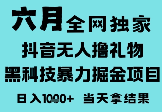 25年6月高爆抖音无人直播最新撸音浪掘金项目，门槛低小白可做，无脑日入1k，可矩阵放大【揭秘】-网亿资源平台