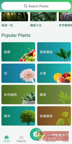 PictureThis 植物识别v5.6.0专业版-网亿资源平台
