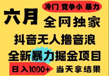 25年6月高爆抖音无人直播最新撸音浪掘金项目，小白可做，无脑日入1k+，门槛低可批量矩阵【揭秘】-邪修侠 - 演示