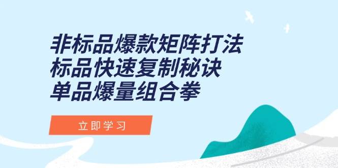 （15068期）非标品爆款矩阵打法，标品快速复制秘诀，单品爆量组合拳-网亿资源平台