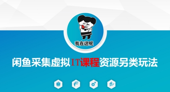 闲鱼采集虚拟IT课程资源另类玩法，干货满满-邪修侠 - 演示