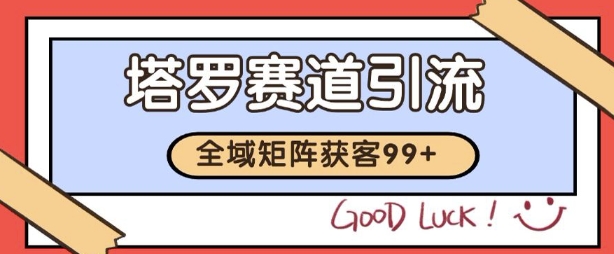 小红书某音塔罗赛道引流获客 自热矩阵日引200+【揭秘】-邪修侠 - 演示