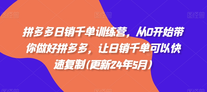 拼多多日销千单训练营，从0开始带你做好拼多多，让日销千单可以快速复制(更新25年6月)-邪修侠 - 演示