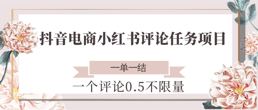 抖音电商小红书评论任务项目，一个评论0.5，一单一结 不限量-网亿资源平台