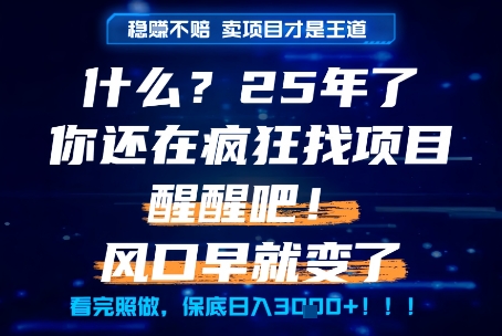什么？25年你还在疯狂找项目做，醒醒吧，看完这些你全都懂了！【揭秘】-网亿资源平台