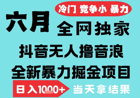 2025年6月高爆抖音无人直播最新撸音浪掘金项目，无脑日入1k+，低门槛小白可做，可矩阵放大【揭秘】-网亿资源平台
