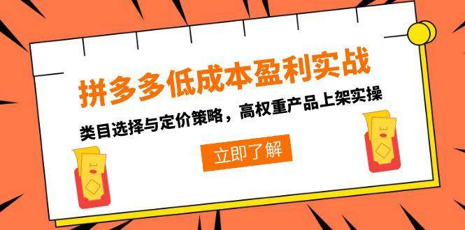 （15143期）拼多多低成本盈利实战，类目选择与定价策略，高权重产品上架实操-网亿资源平台