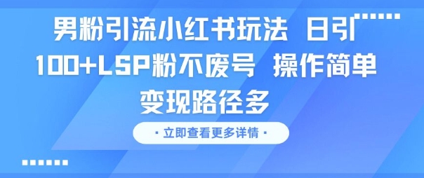 男粉引流小红书玩法，日引100+LSP粉不废号，操作简单，变现路径多-网亿资源平台