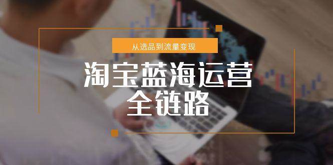 （15160期）淘宝蓝海运营全链路，从选品到流量变现，小类目突围完整方案-网亿资源平台