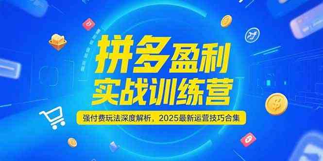 拼多多盈利实战训练营，强付费玩法深度解析，2025最新运营技巧合集-网亿资源平台