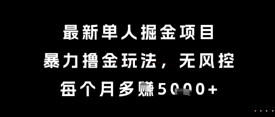 最新单人掘金项目，暴力撸金玩法，无风控，每个月多挣5k+【揭秘】-邪修侠 - 演示
