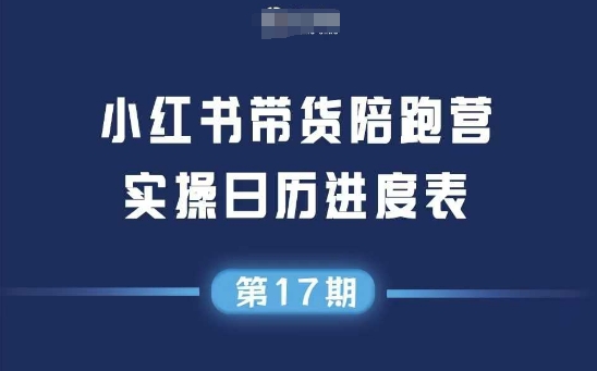 小红书第17期带货陪跑营，不囤货，无不直播，无不投流，通过选品+笔记内容+测品+笔记铺量+矩阵运营打爆款-邪修侠 - 演示