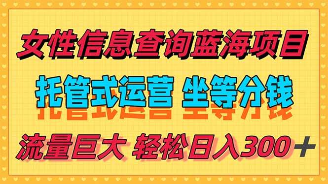 （15216期）稳定日入300＋，小众信息查询蓝海项目，全程懒人式托管，解放你的时间-网亿资源平台