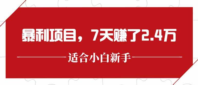 （15228期）最新暴利项目，每单收益轻松在300以上，7天赚了2.4万-网亿资源平台