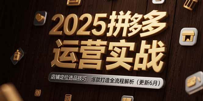（15235期）2025拼多多运营实战：店铺定位选品技巧，爆款打造全流程解析（更新6月）-网亿资源平台